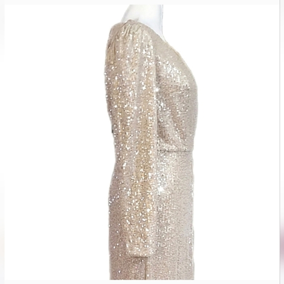 Illena for Mac Duggal silver sequin gown - Picture 4 of 11